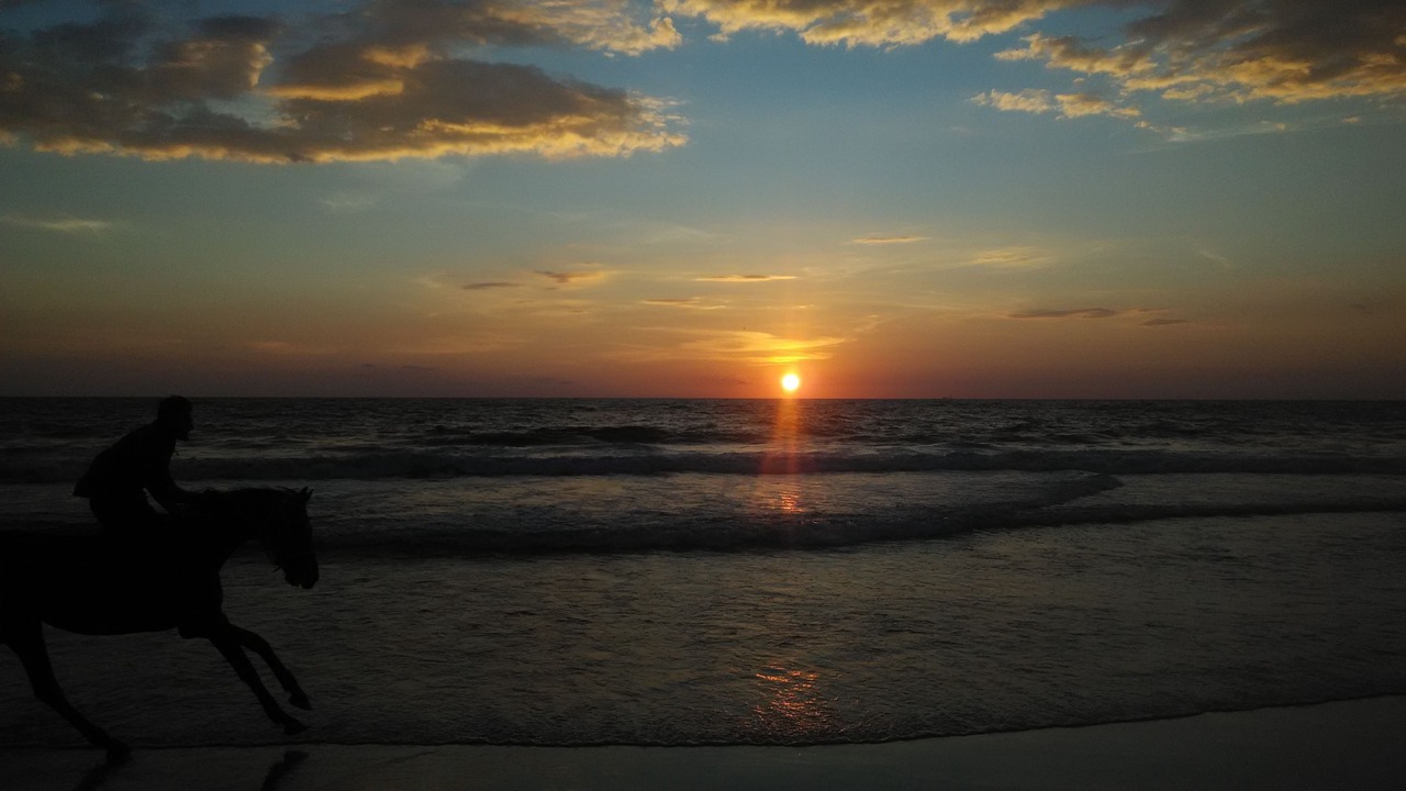 Photo of Outdoor in Varkala