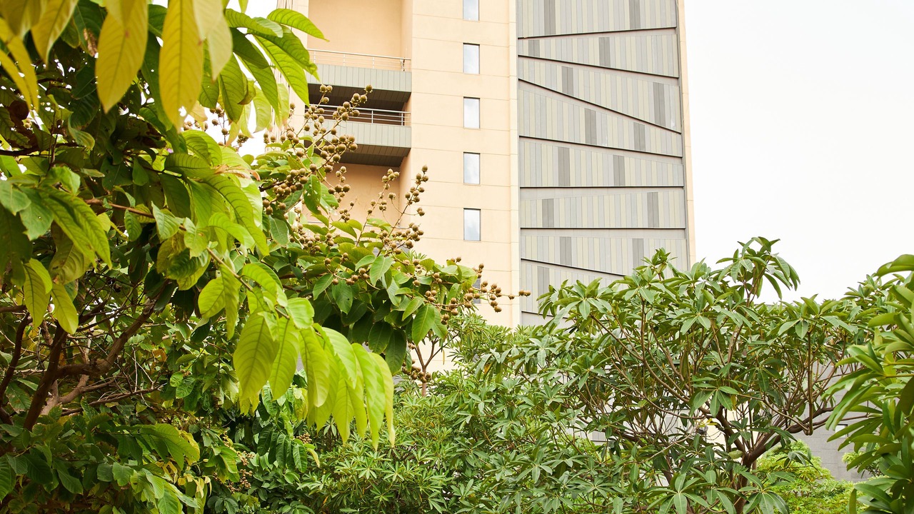 Photo of Outdoor in Sholinganallur