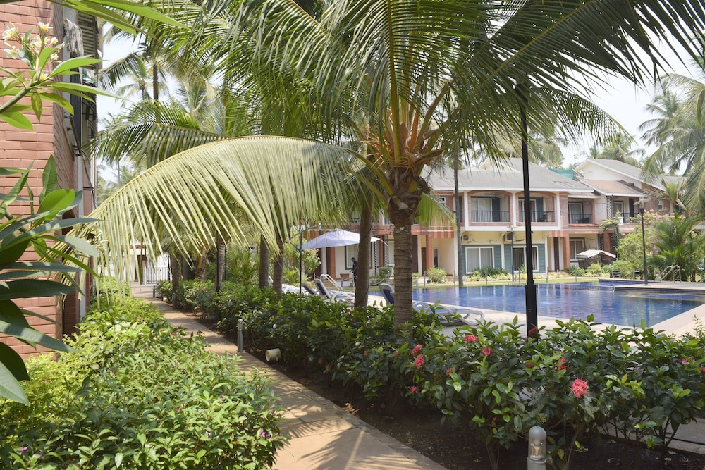 Photo of Outdoor in Arpora