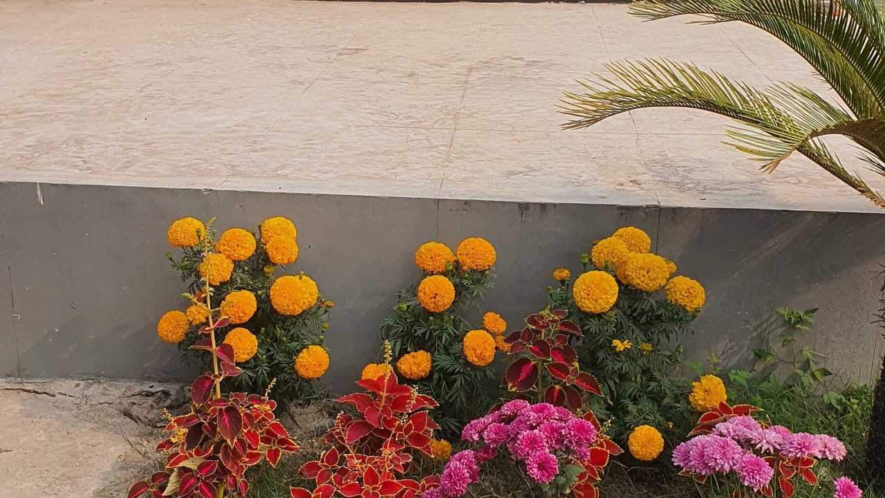 Photo of Outdoor in Dhaka Division