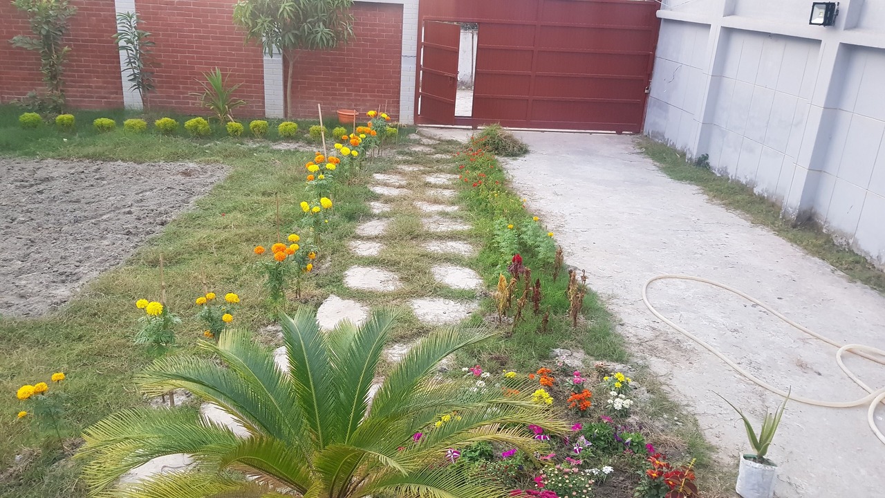 Photo of Outdoor in Dhaka Division