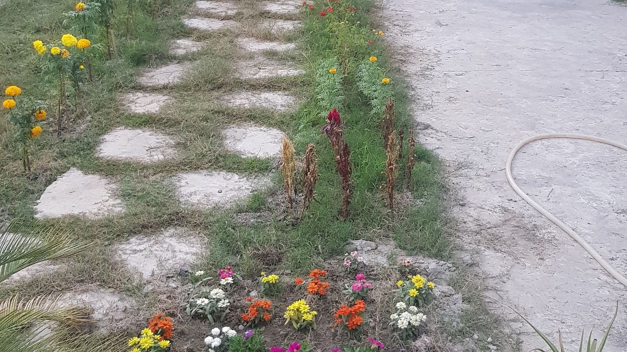 Photo of Outdoor in Dhaka Division