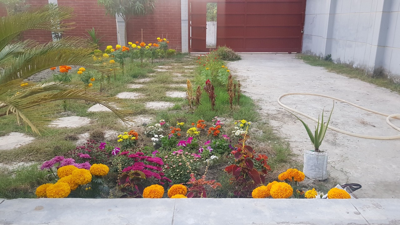 Photo of Outdoor in Dhaka Division