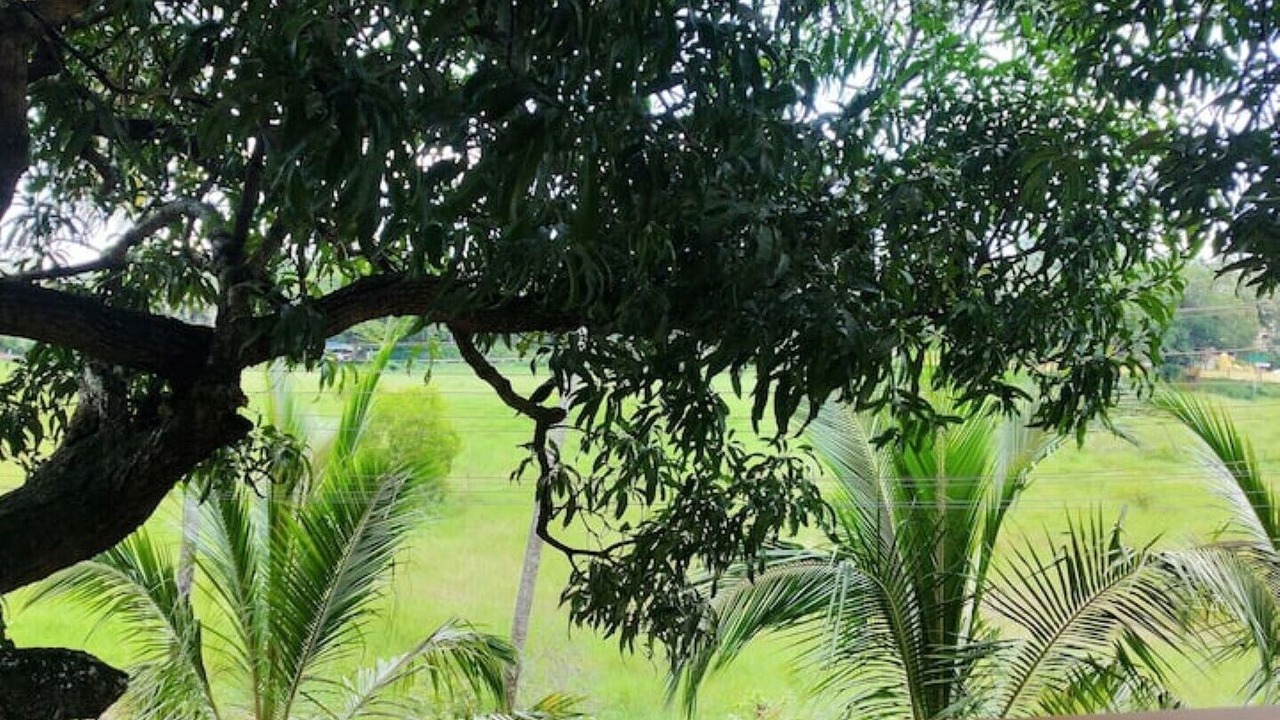 Photo of Others in Candolim