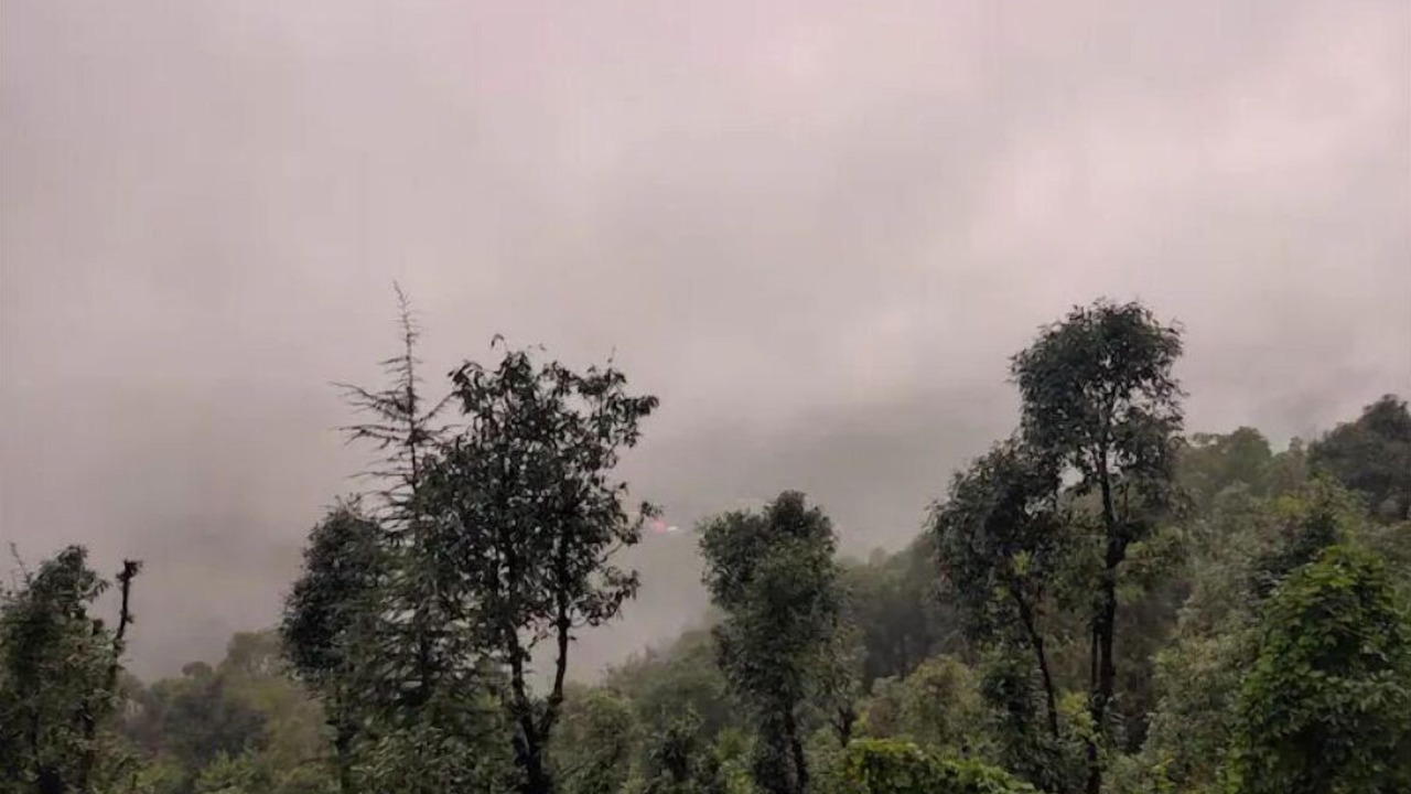 Photo of Others in Shoghi
