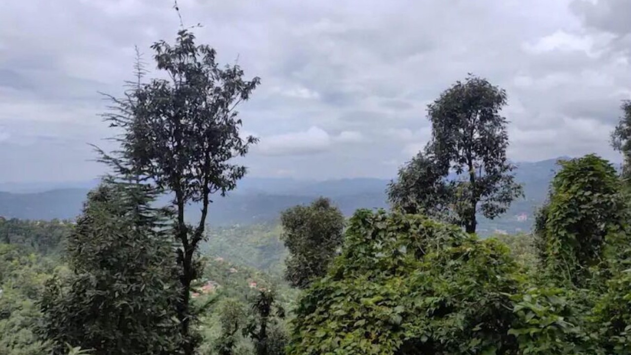 Photo of Outdoor in Shoghi