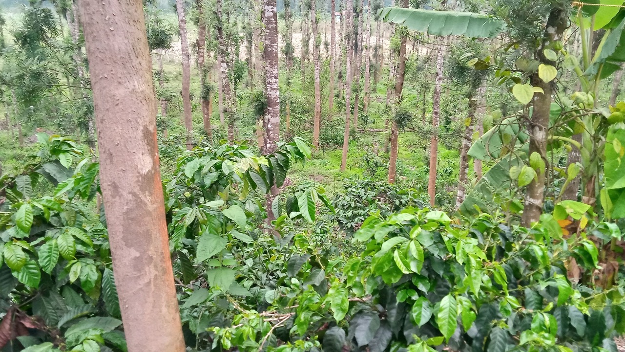 Photo of Outdoor in Vastare