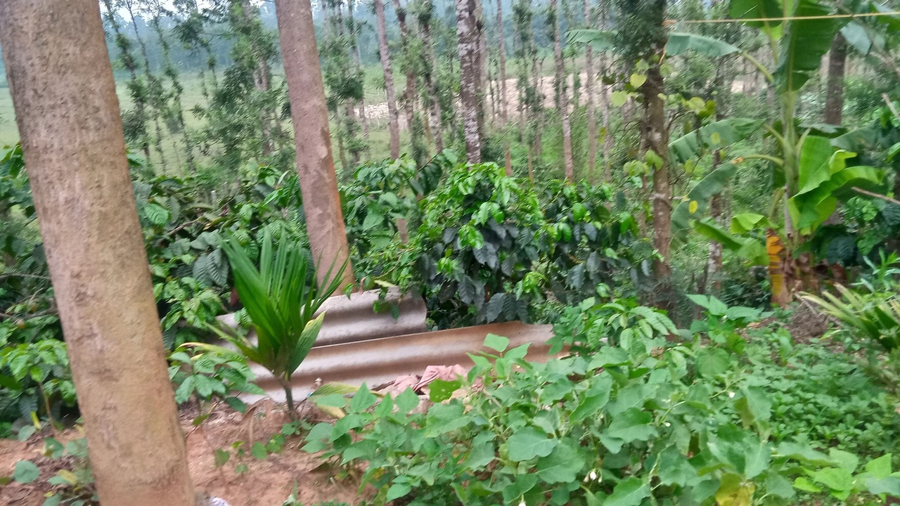 Photo of Outdoor in Vastare