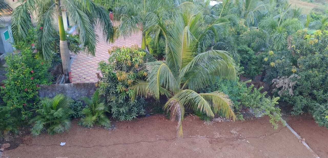Photo of Outdoor in Kalyan