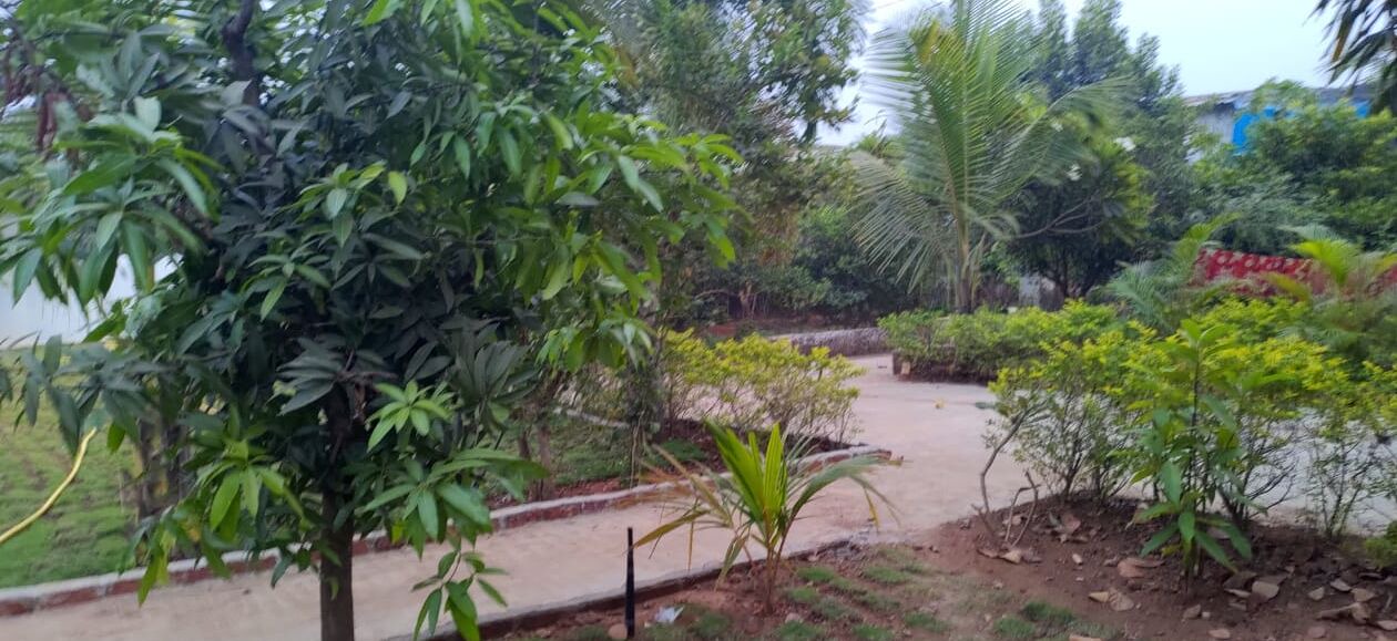 Photo of Outdoor in Kalyan