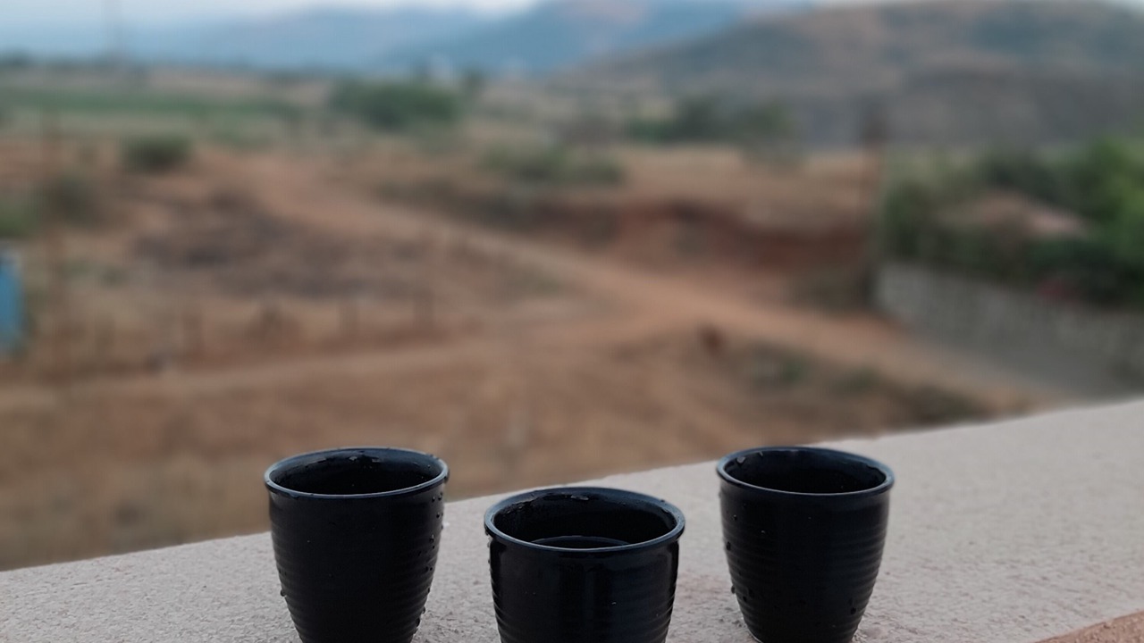 Photo of Others in Lonavala