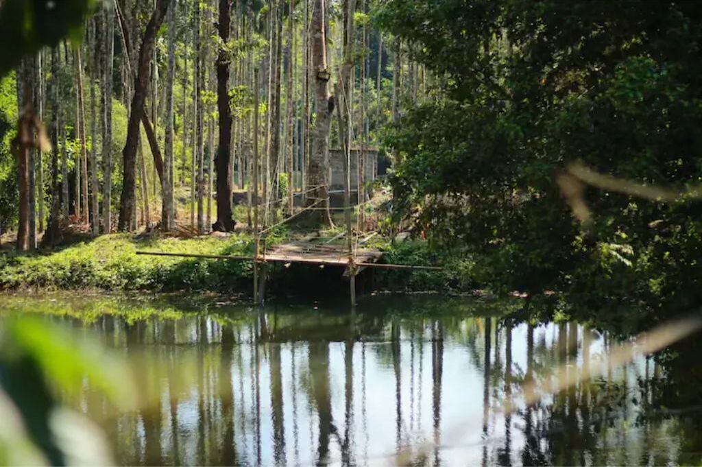 Photo of Outdoor in Thirunelly