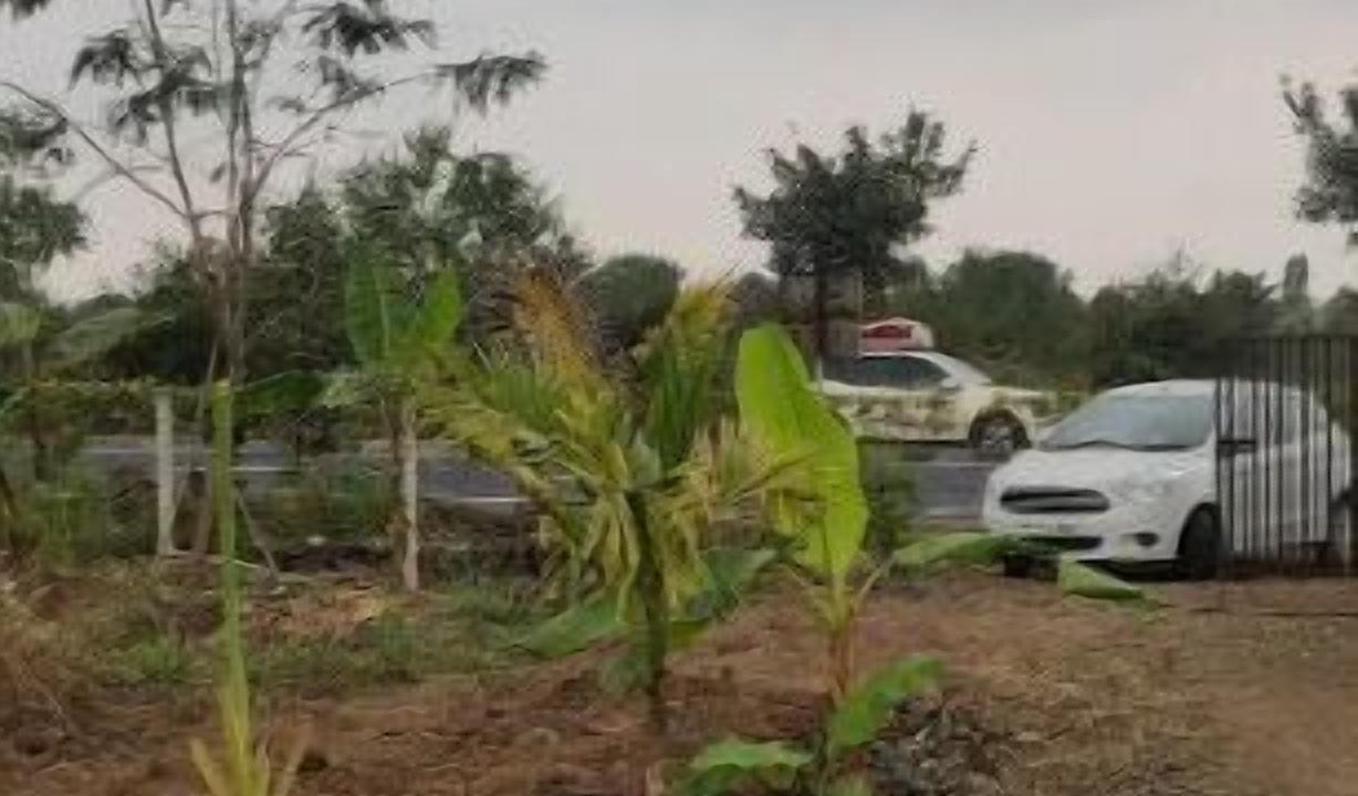 Photo of Outdoor in Anjaneri