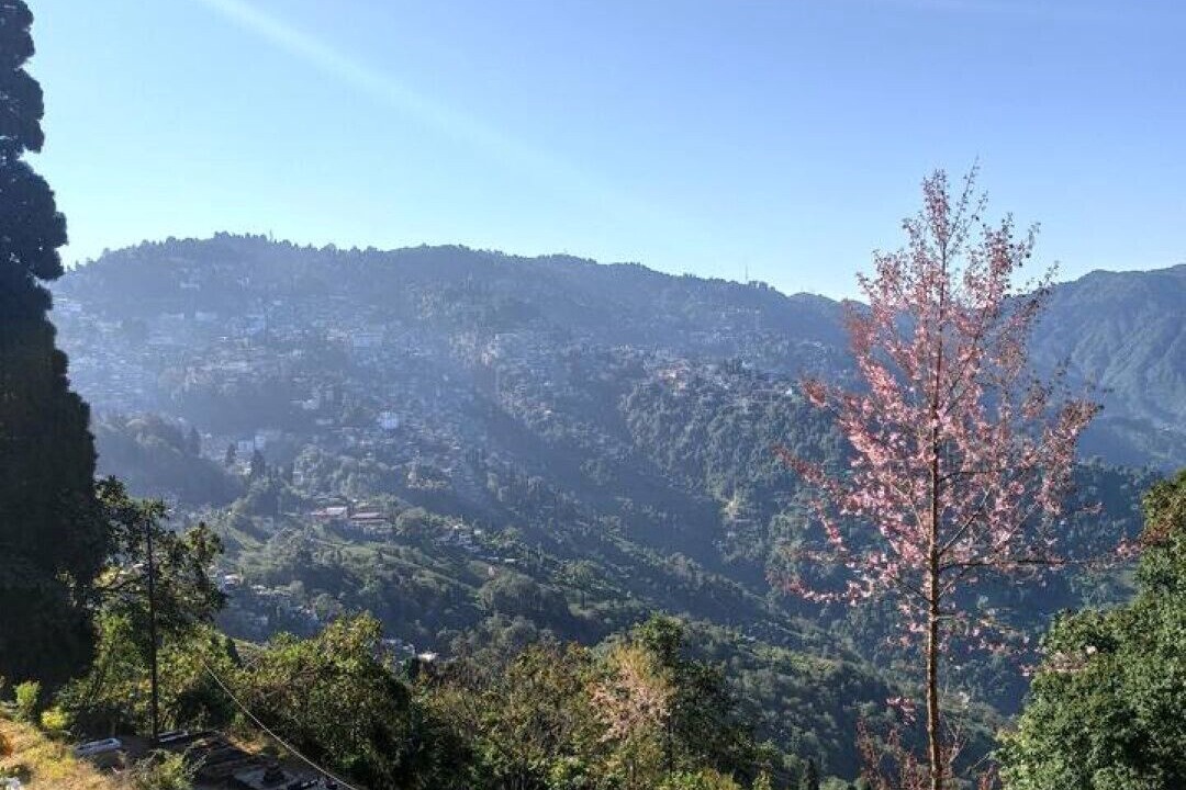 Photo of Outdoor in Darjeeling