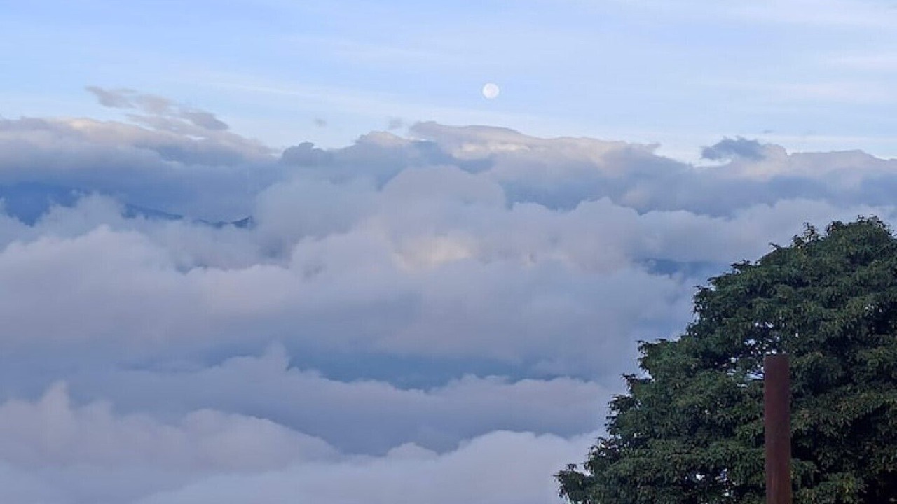 Photo of Others in Darjeeling