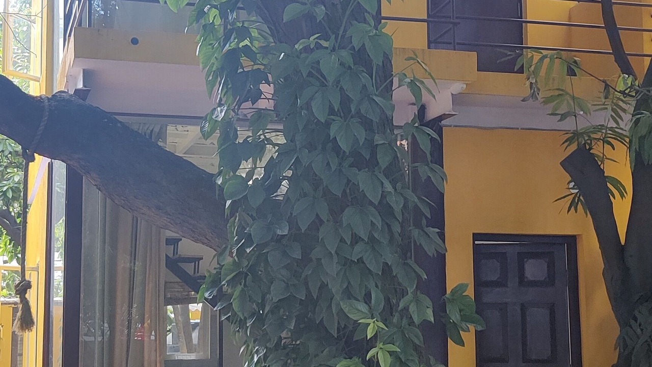 Photo of Outdoor in Bengaluru