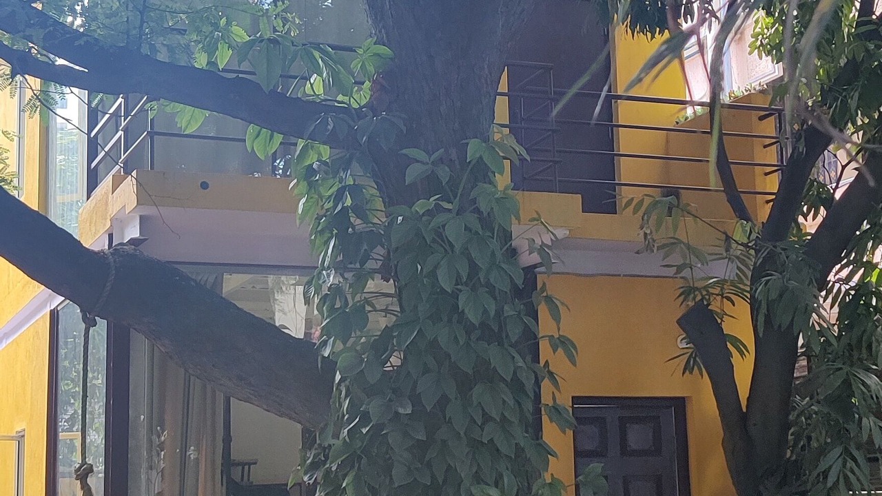 Photo of Outdoor in Bengaluru