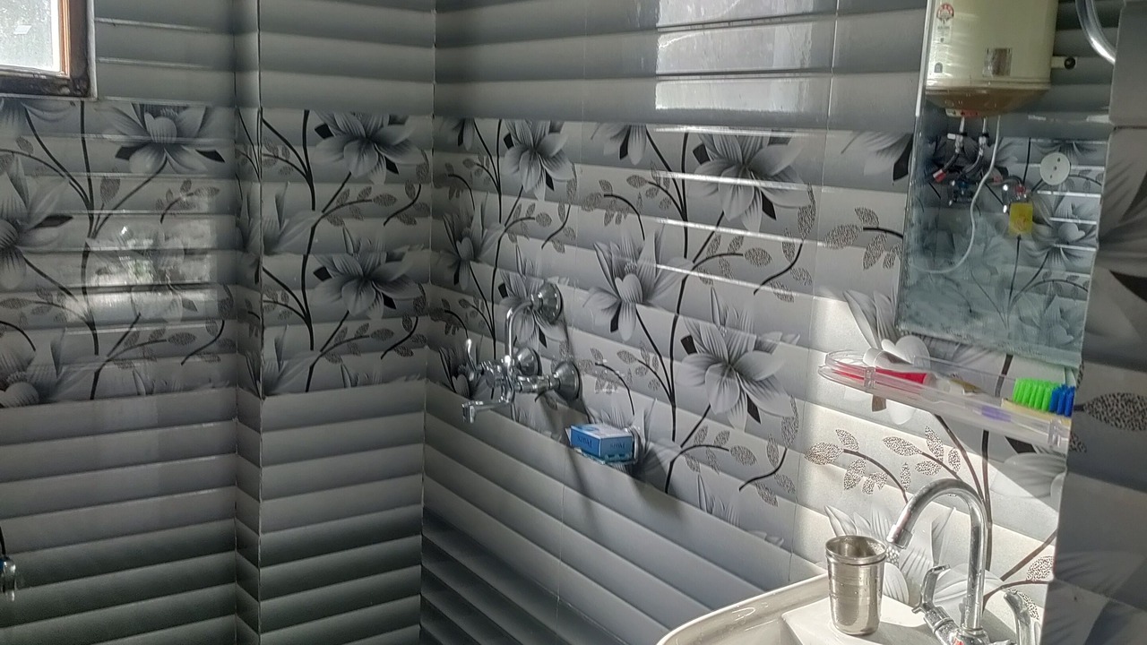 Photo of Bathroom in Manali