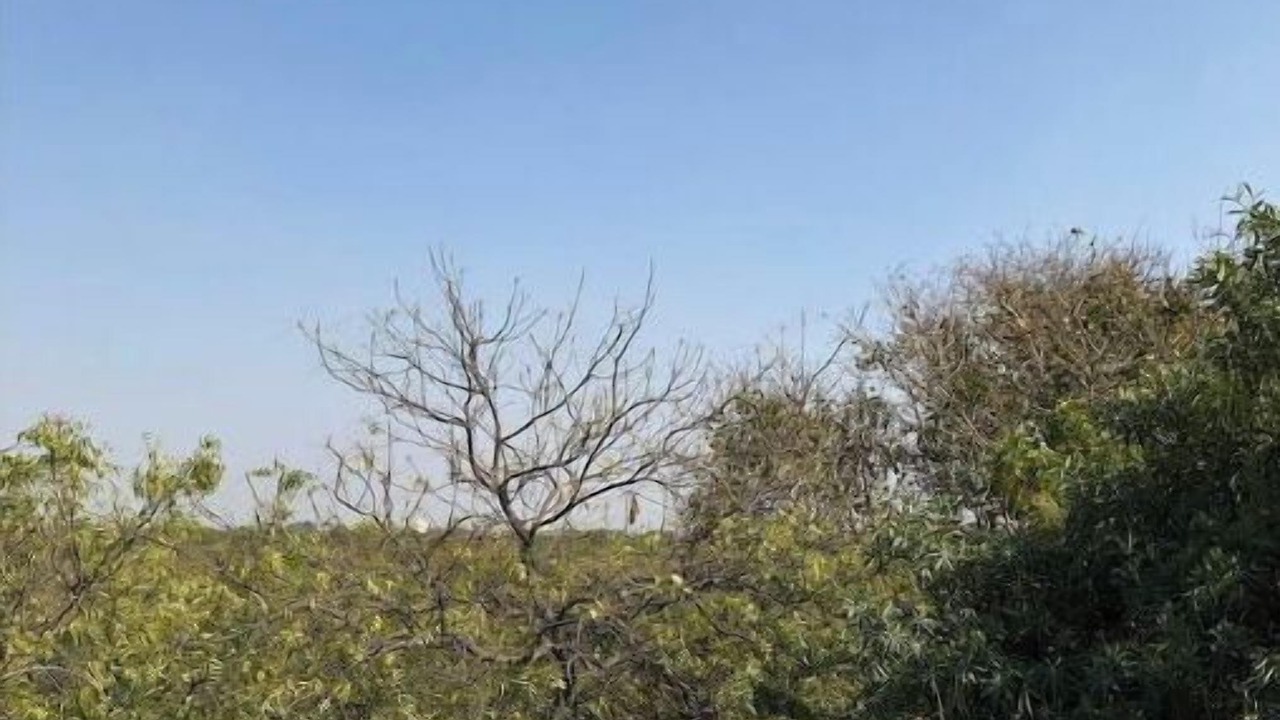 Photo of Outdoor in Sainik Farm