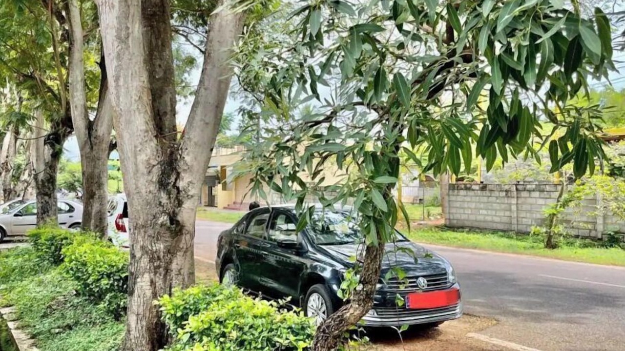 Photo of Outdoor in Mysore