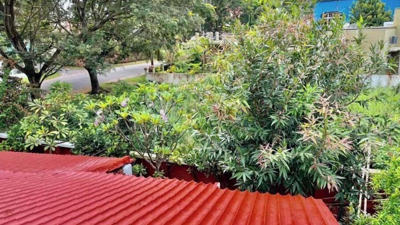 Photo of Outdoor in Mysore