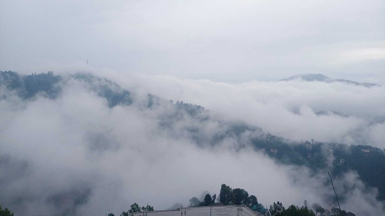 Photo of Others in Shimla