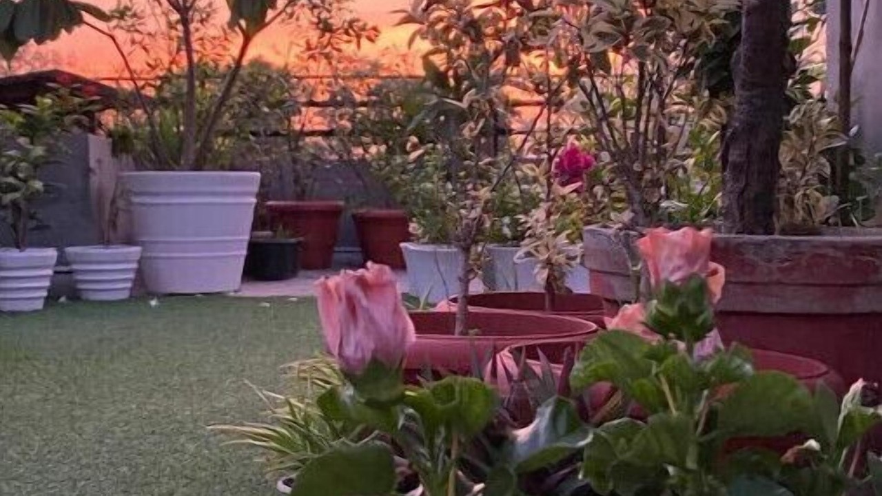 Photo of Outdoor in Sundar Nagar