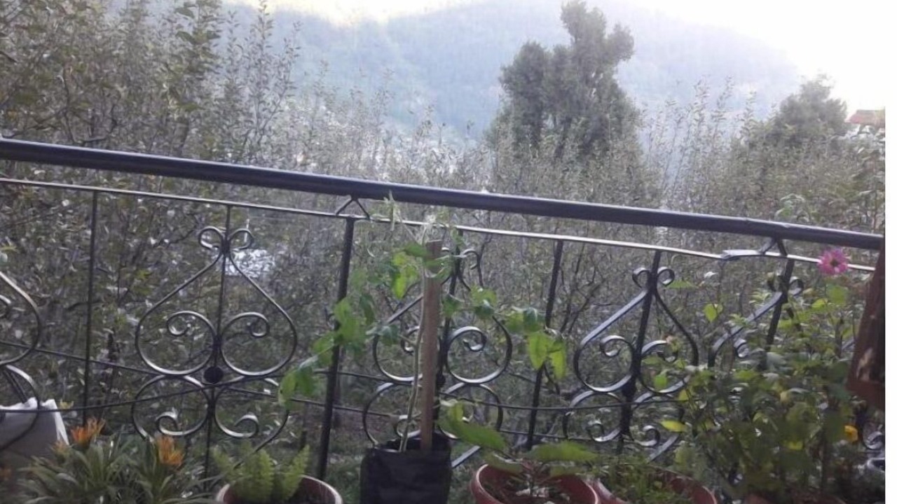 Photo of Outdoor in New Manali