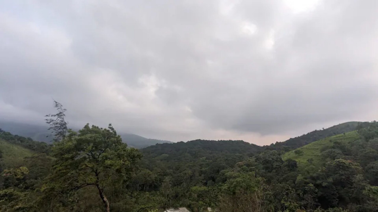 Photo of Others in Mannarkkad
