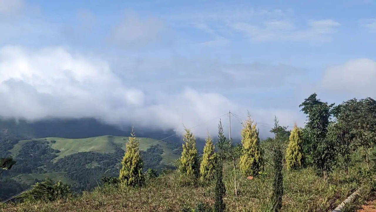 Photo of Outdoor in Mannarkkad