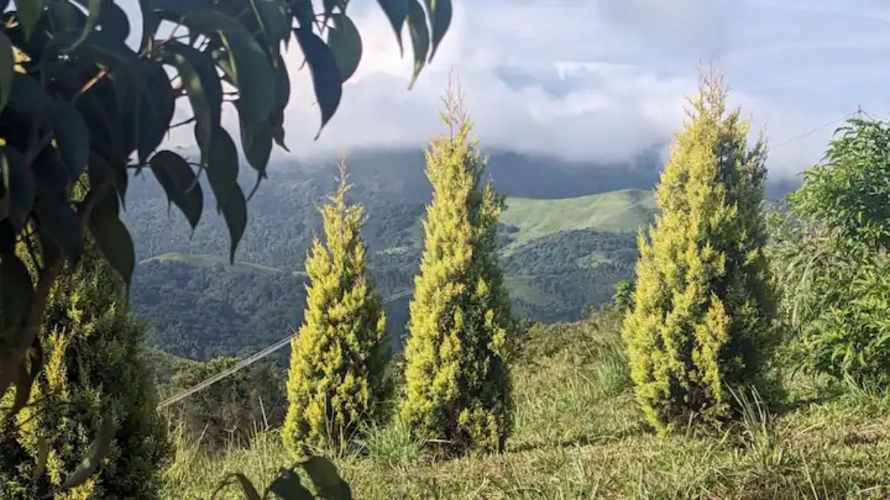 Photo of Outdoor in Mannarkkad