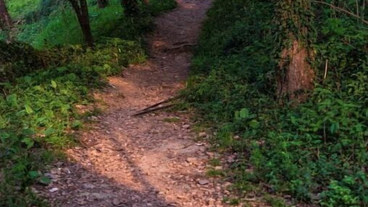 Photo of Outdoor in Kandaghat