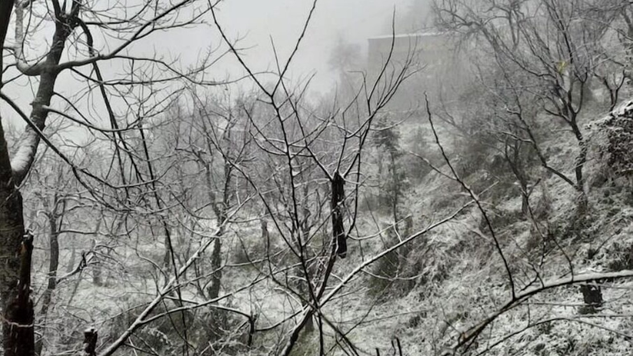 Photo of Outdoor in Kandaghat