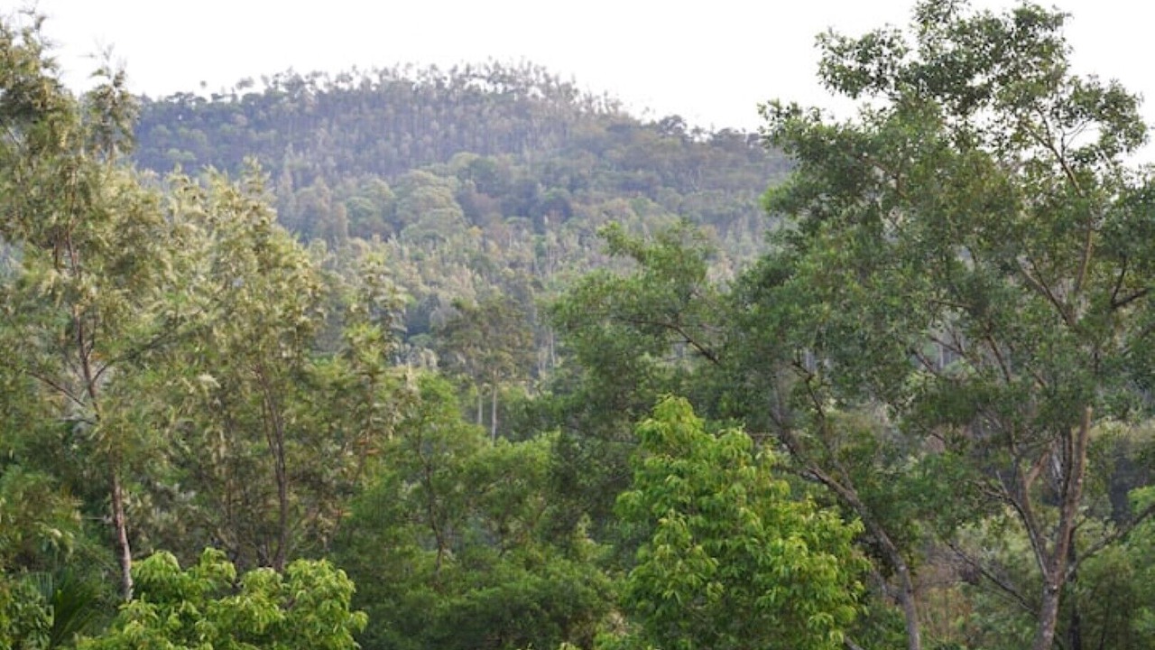 Photo of Others in Chikkamagaluru