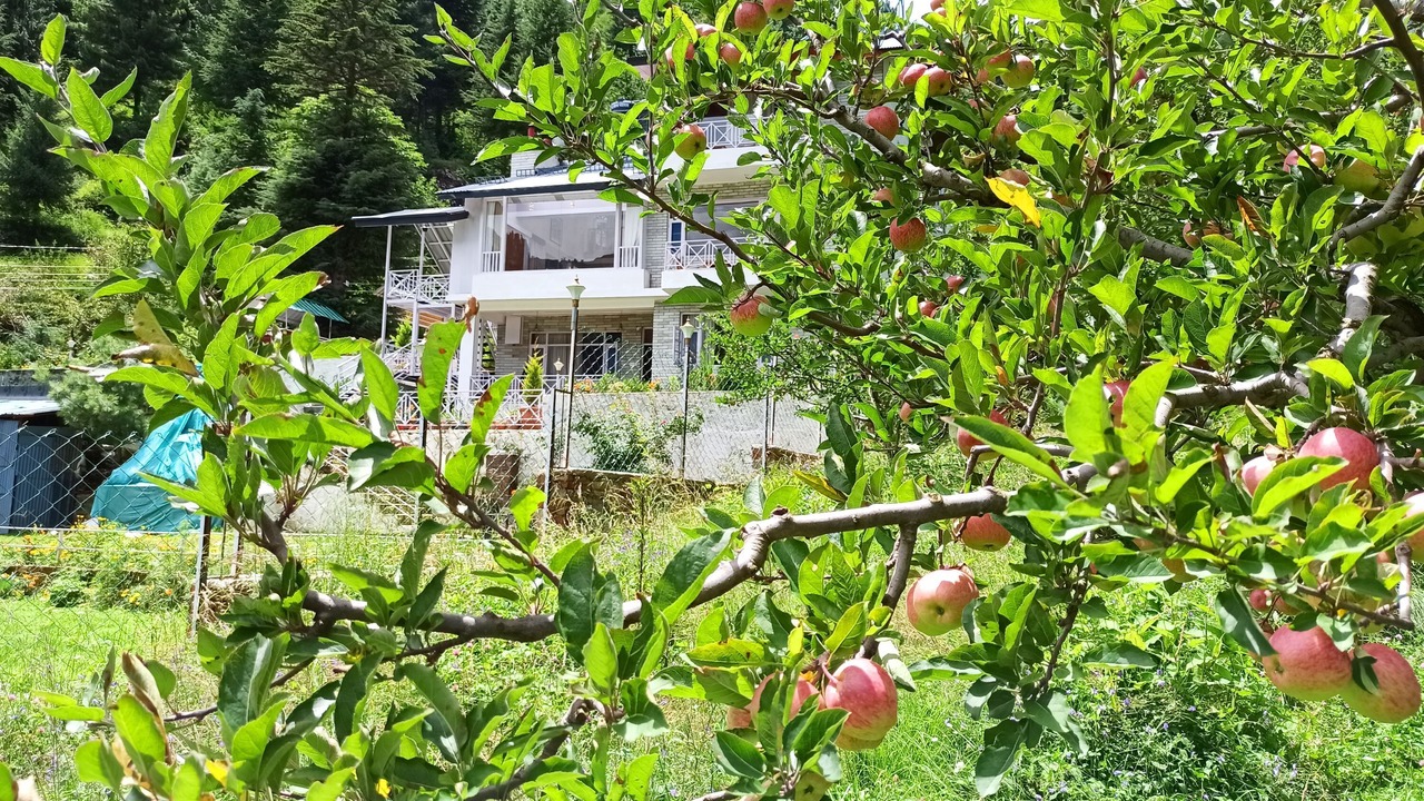 Photo of Outdoor in Burwa