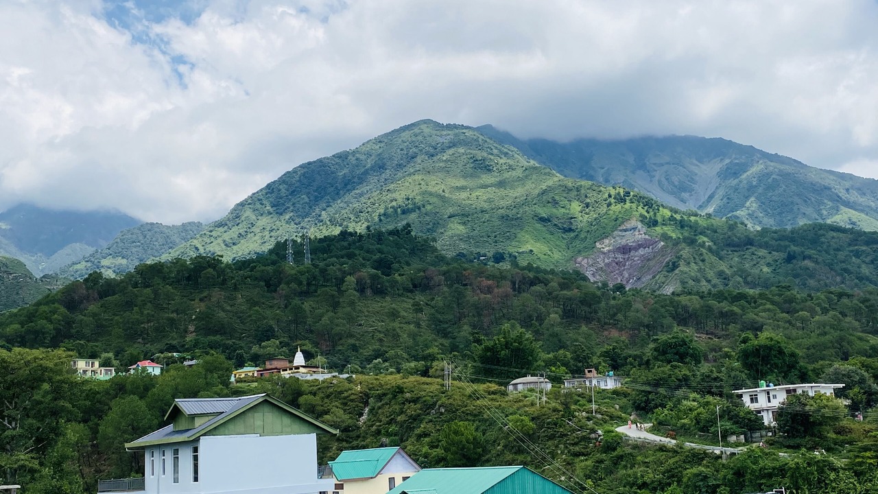 Photo of Others in Dharamshala