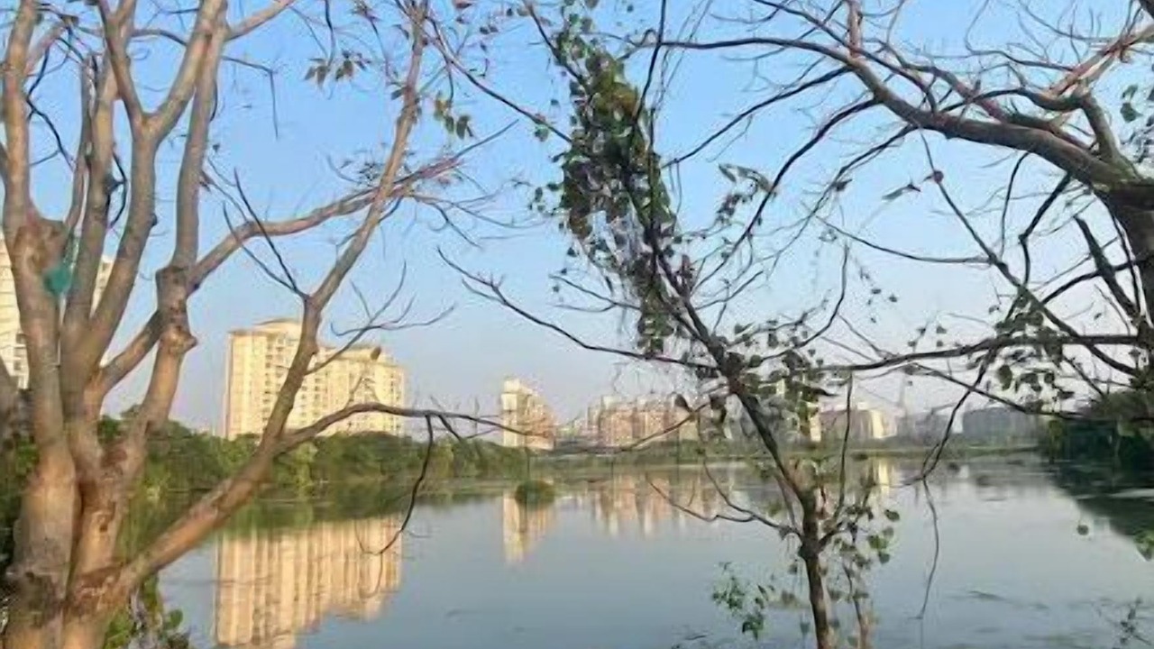 Photo of Others in Navi Mumbai