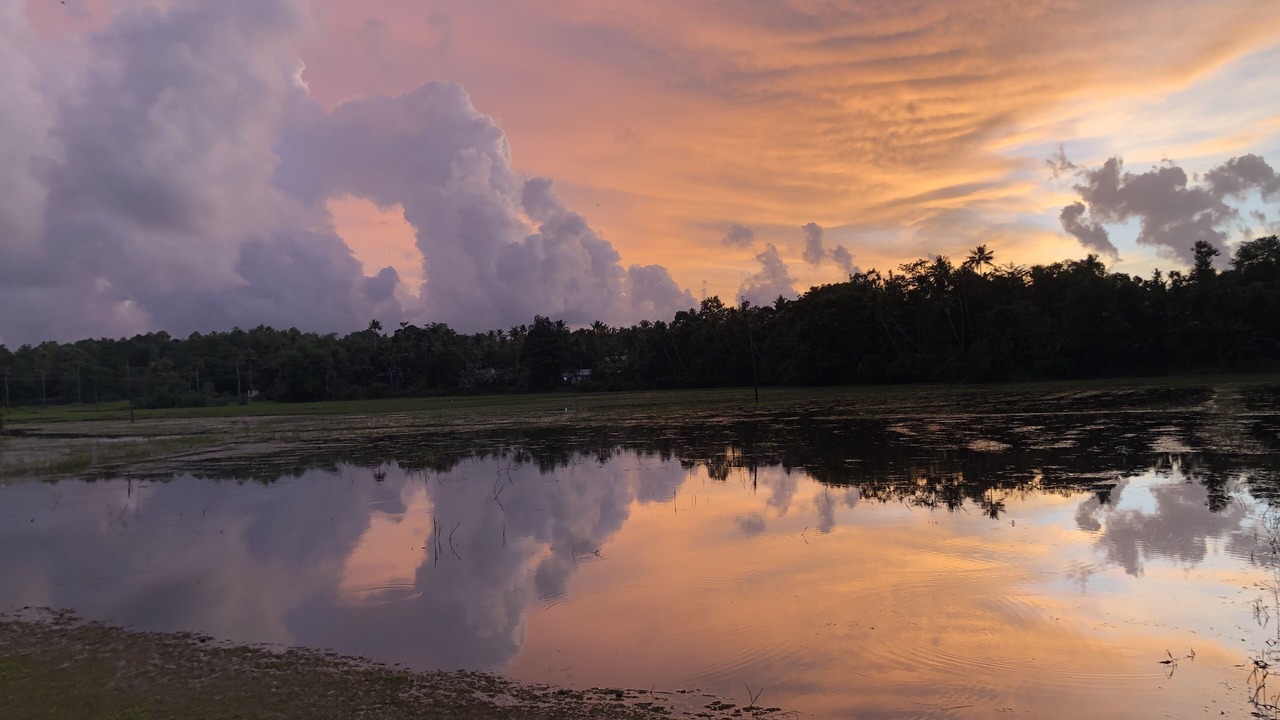 Photo of Others in Irinjalakuda