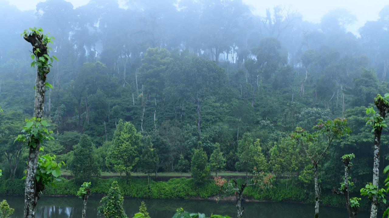 Photo of Outdoor in Virarajendrapet