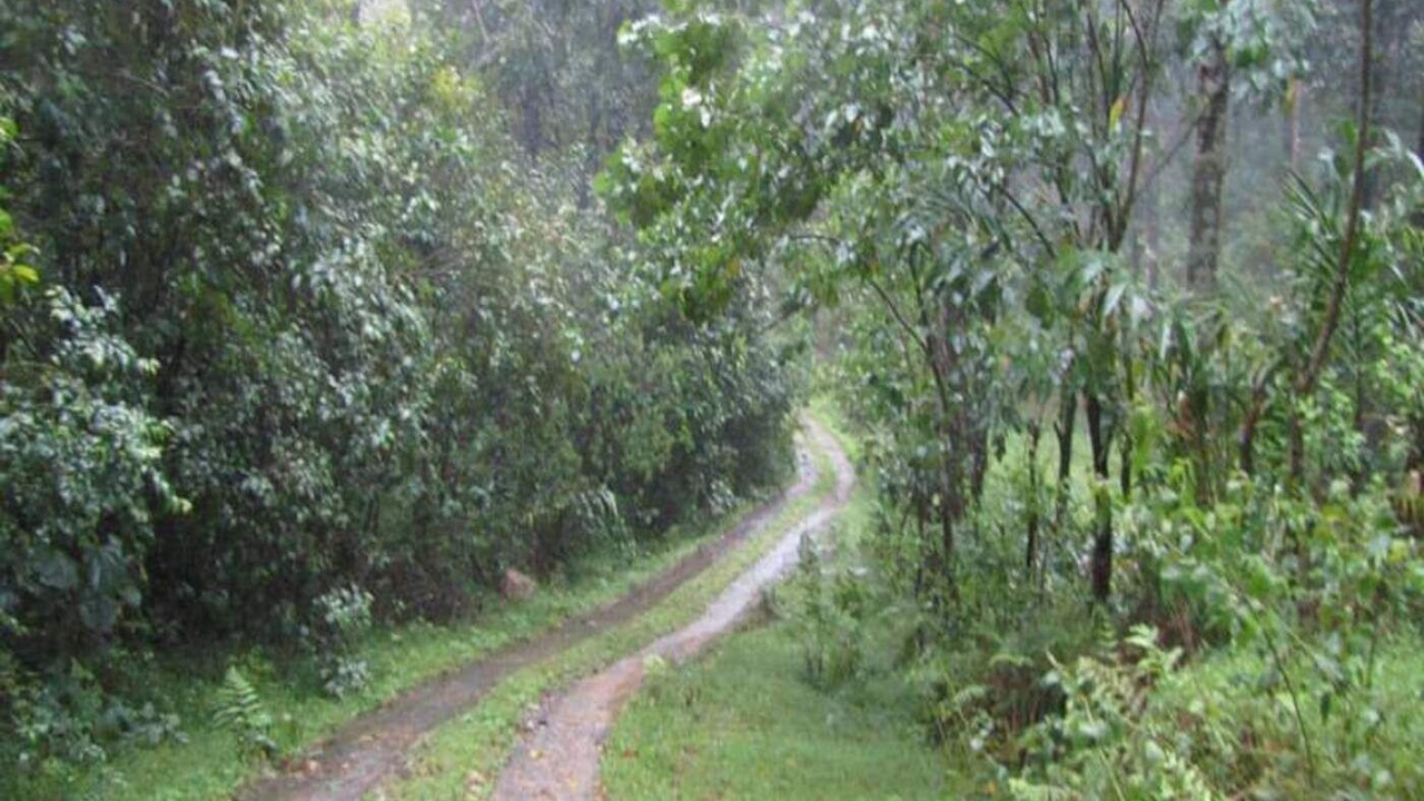 Photo of Outdoor in Lakkidi