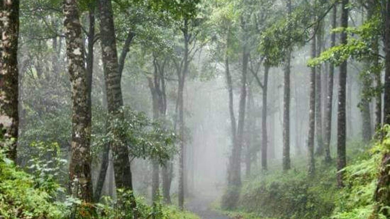 Photo of Outdoor in Lakkidi