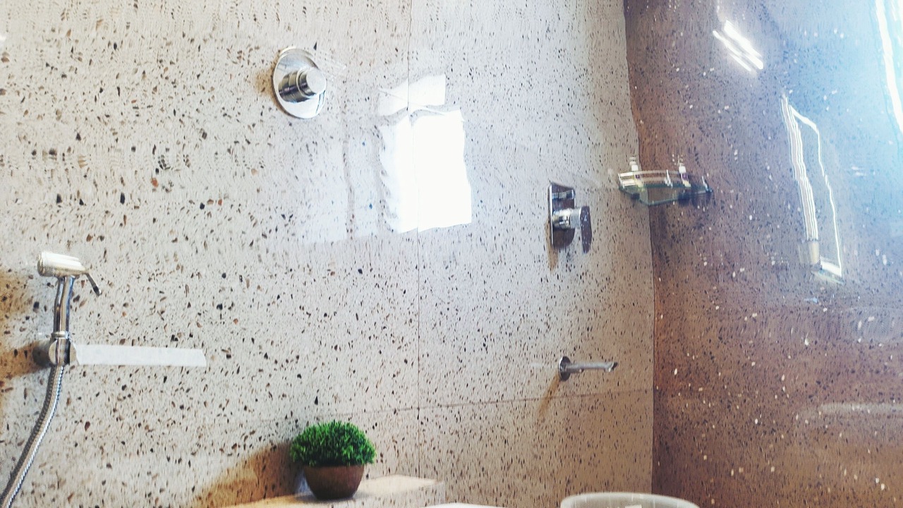 Photo of Bathroom in Malavli