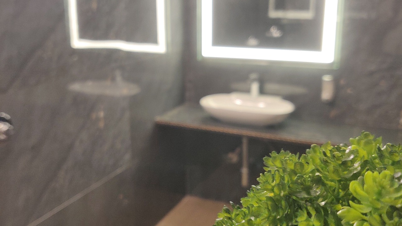 Photo of Bathroom in Malavli