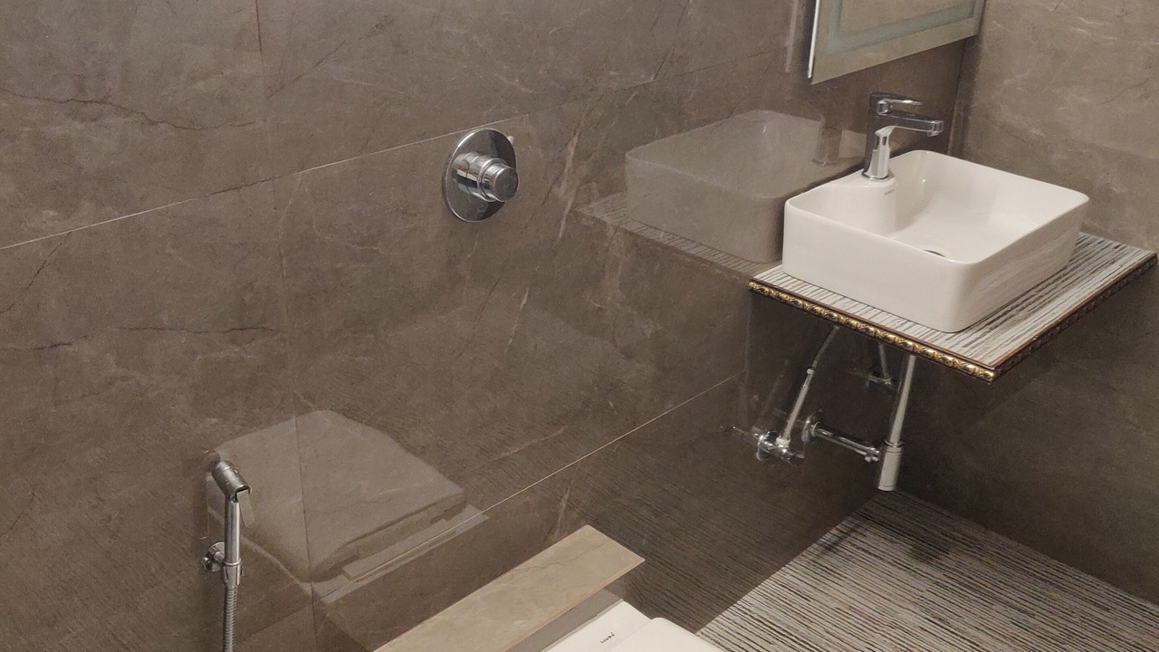 Photo of Bathroom in Malavli