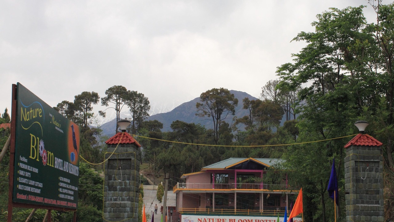 Photo of Others in Chachian