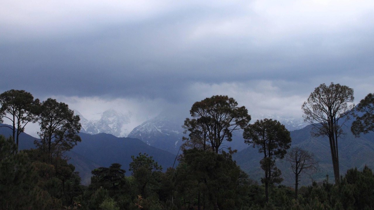 Photo of Outdoor in Chachian