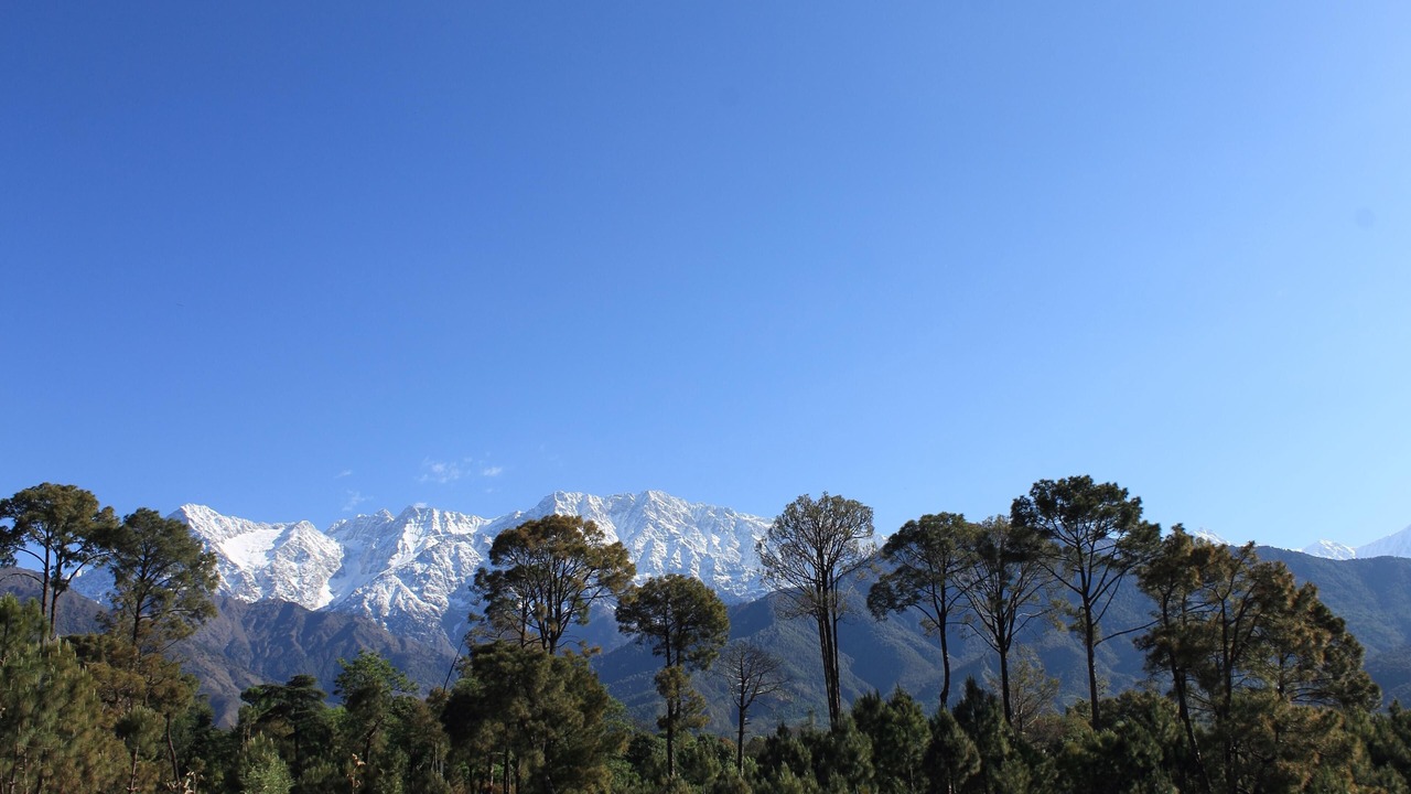 Photo of Outdoor in Chachian