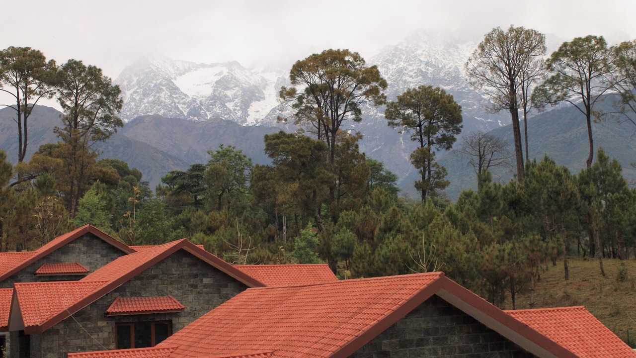Photo of Outdoor in Chachian