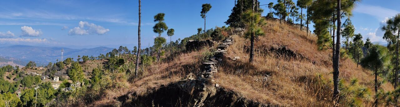 Photo of Others in Ranikhet