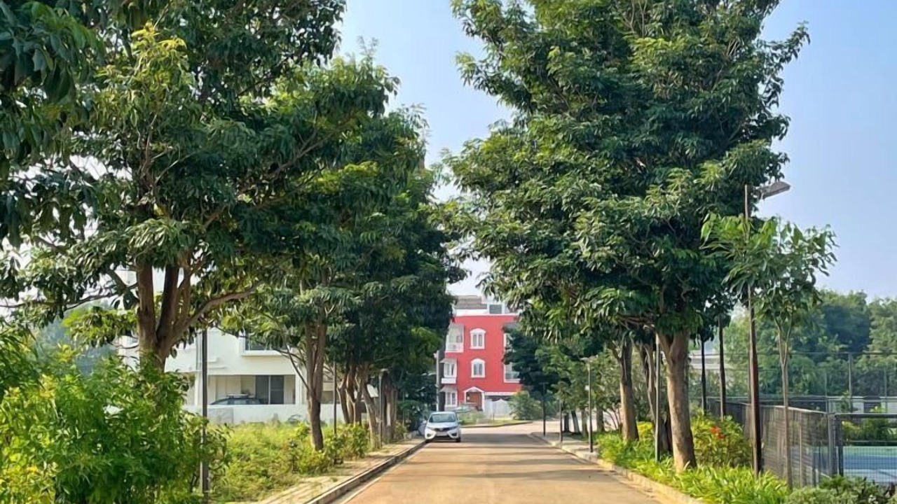 Photo of Outdoor in Agara